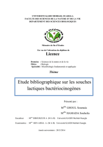 Etude bibliographique sur Les souches lactiques bacteriocinogènes