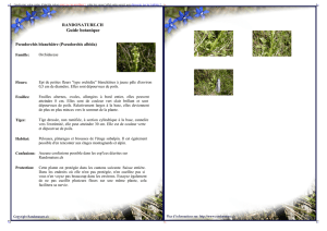 Guide botanique - Randonature.ch