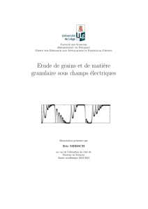 Etude de grains et de matière granulaire sous champs électriques