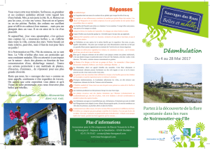 Déambulation Réponses - Ville de Noirmoutier