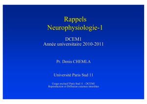 Rappels Neurophysiologie-1