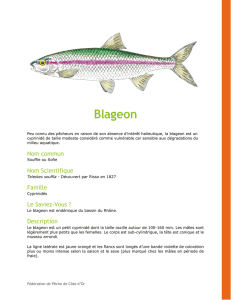 Blageon - Fédération de Pêche de Côte-d`Or