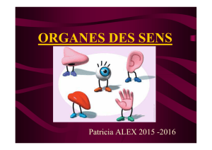 organe des sens - Centre Hospitalier de Carcassonne