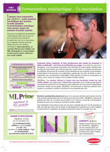 Télécharger pdf - Lallemand Wine