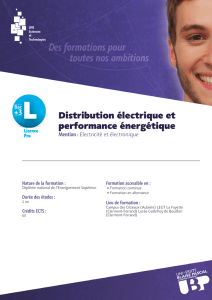 Distribution électrique et performance énergétique