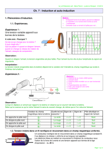 Ch. 7 : Induction et autoinduction