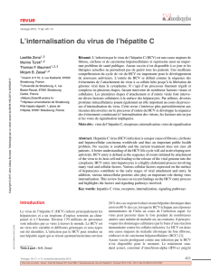L`internalisation du virus de l`hépatite C
