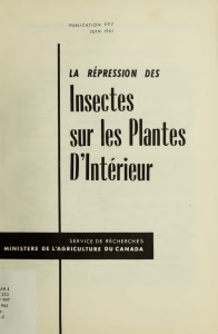 La rpression des insectes sur les plantes d`intrieur