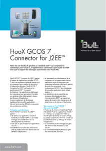 HooX GCOS 7 Connector for J2EE - Support