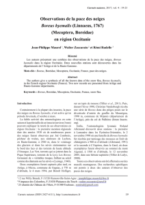 Observations de la puce des neiges Boreus hyemalis (Linnaeus