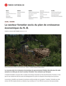 Le secteur forestier exclu du plan de croissance économique du N.B.