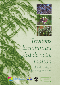 Maillage Vert - Guide pratique des plantes