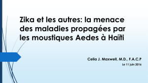 Zika et les autres: la menace des maladies propagées par les