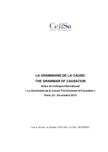 LA GRAMMAIRE DE LA CAUSE/ THE GRAMMAR OF CAUSATION