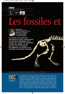Les fossiles et l`évolution - Plateforme pédagogique du Muséum