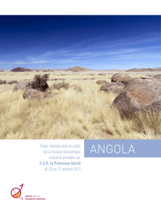 Étude pays Angola - abh-ace