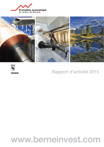Rapport d`activité 2015 - Promotion économique du