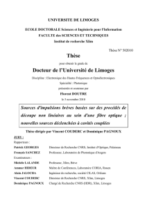 Texte intégral en version PDF - Epublications