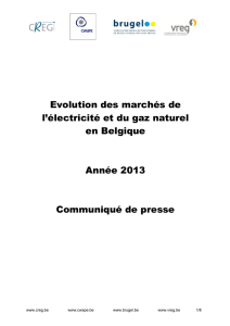 Evolution des marchés de l`électricité et du gaz naturel en Belgique