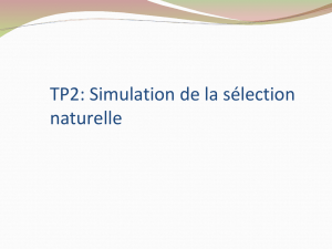 TP1: Simulation de la sélection naturelle