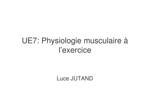 UE7: Physiologie musculaire à l`exercice