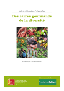 Des carrés gourmands de la diversité