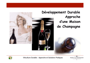 Développement Durable Approche d`une Maison de Champagne