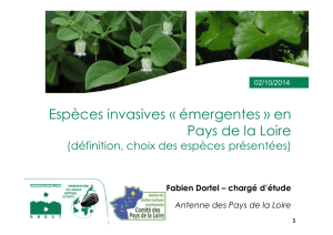 Especes_emergentes_les_especes-Dortel