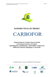 carbofor 2004 - GIP