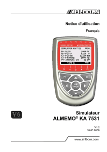 Simulateur ALMEMO® KA 7531