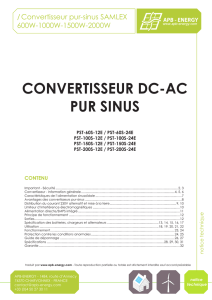 Convertisseurs pur sinus 12V et 24V 600W,1000W