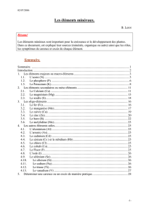 Les éléments minéraux - doc-developpement