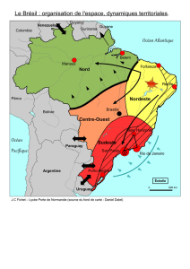 Le Brésil : organisation de l`espace, dynamiques territoriales. Océan