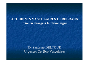 Cours AIC.ppt [Lecture seule]