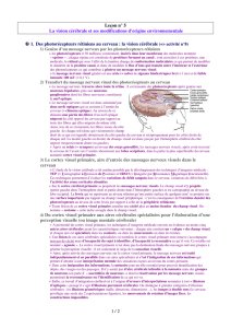 1 / 2 Leçon n° 5 La vision cérébrale et ses modifications d`origine