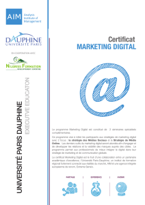 Certificat MARKETING DIGITAL - Analysis Institute of Management