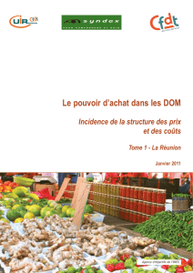 Le pouvoir d`achat dans les DOM