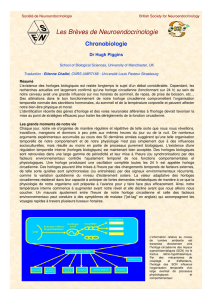 Microsoft PowerPoint - Br\350ve10.ppt