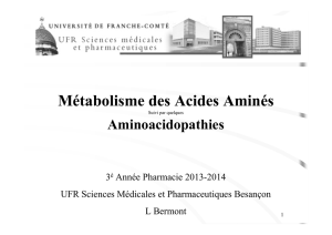 Ph3 Métabolisme des Acides Aminés 2013-2014 - Fichier