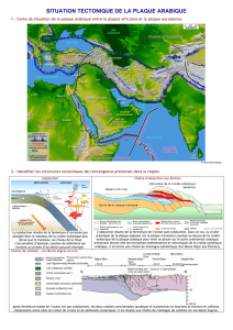 situation tectonique de la plaque arabique - Jpb