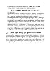 PIB - CGT Martinique