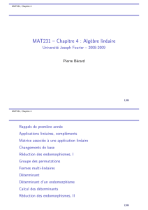 MAT231 -- Chapitre 4 : Algèbre linéaire