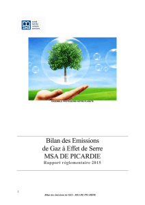 Bilan carbone - MSA de Picardie