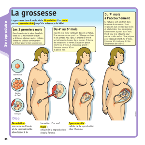 La grossesse - LEPETITQUOTIDIEN.FR
