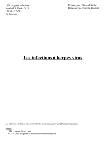 Les infections à herpes virus - Cours L3 Bichat 2012-2013