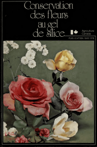 CONSERVATION DES FLEURS AU GEL DE SILICE