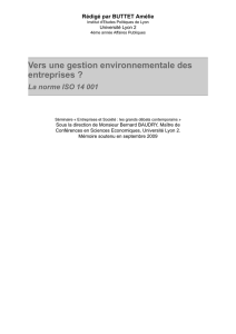 Vers une gestion environnementale des entreprises ?