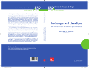 Le changement climatique : du metarisque a la metagouvernance