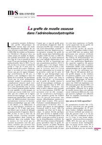 La greffe de moelle osseuse dans l - iPubli