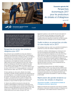 Perspectives économiques 2017 pour les producteurs de céréales